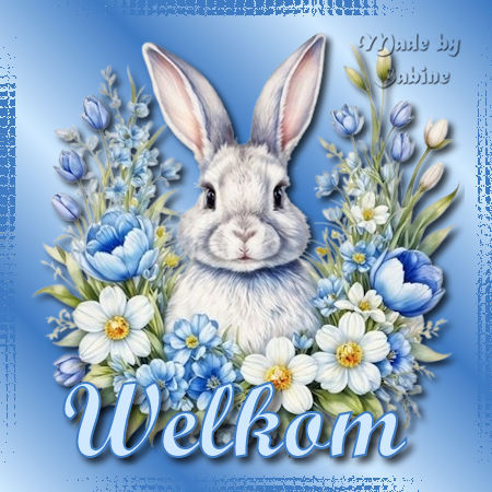 konijnwelkom.jpg